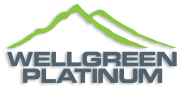Wellgreen Platinum Ltd.